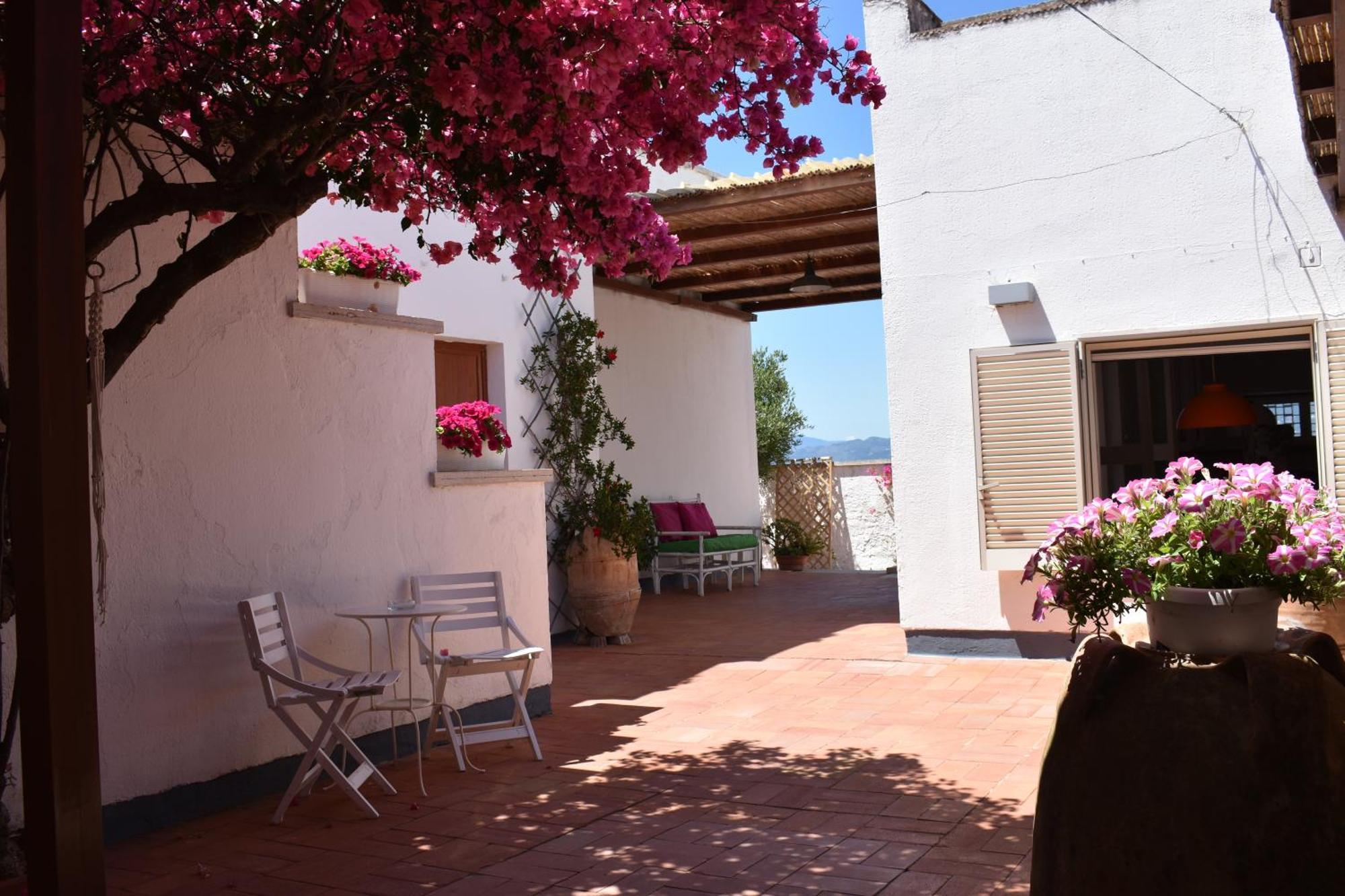 B&B Casabianca Palinuro Eksteriør billede